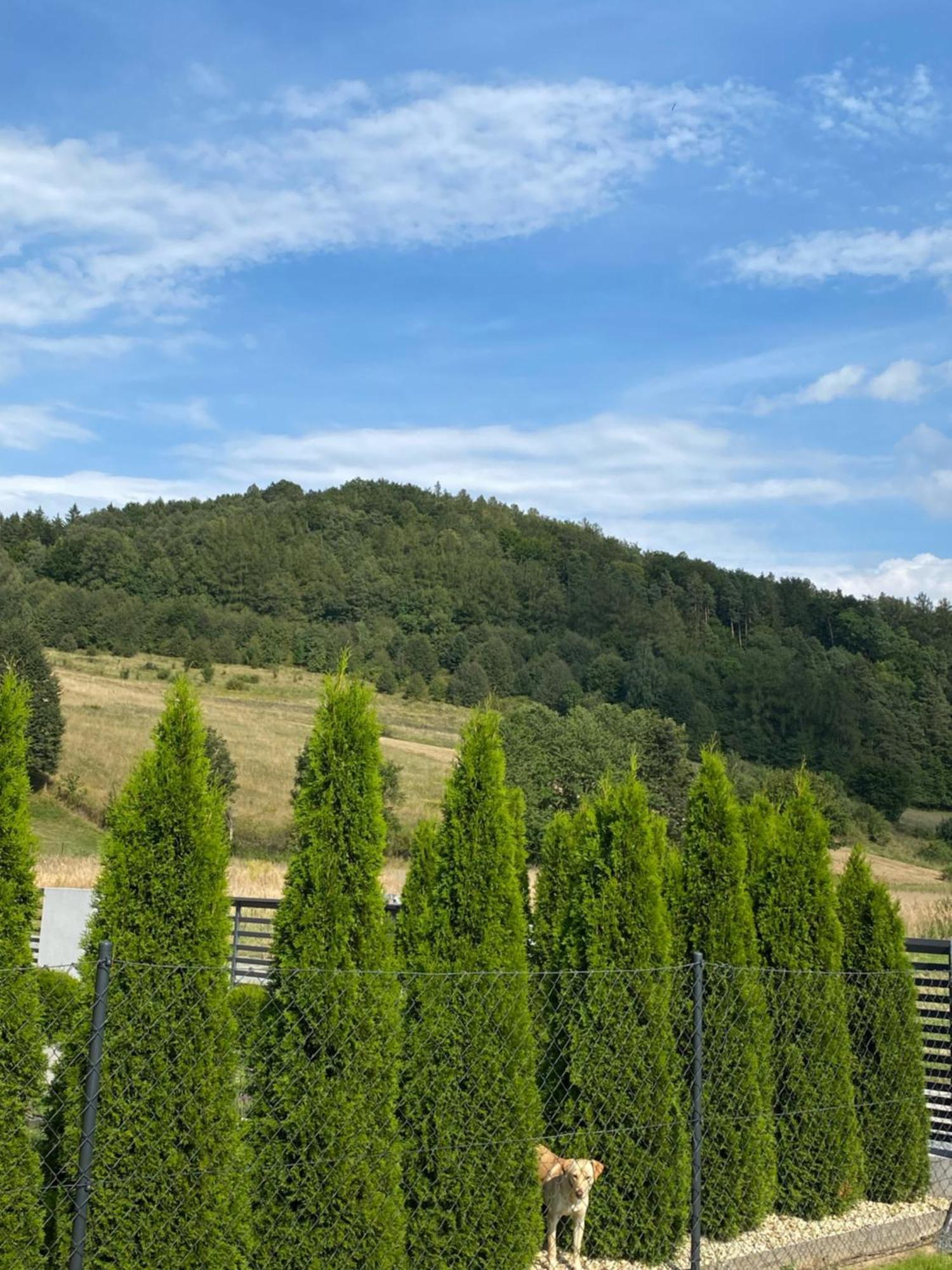 Domek Pod Sosnowa Gora Zelazno  Exterior foto